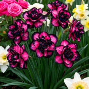 Нарцисс Золотая Корона купить по цене от 2000р. в интернет-магазине «Посадика» с доставкой почтой в в Правдинске и по всей России – [изображение №1].